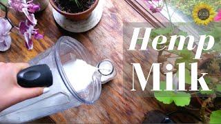 HEMP MILK RECIPE | Dietitian Approved