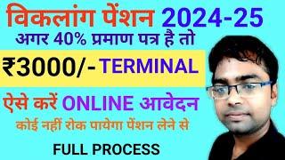 विकलांग पेंशन ऑनलाइन आवेदन 2024 | online apply for divyang pension in hindi | handicapped pension