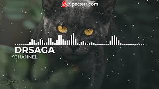 DRSAGA-Anywhere (Happy Music) | No Copyright Music