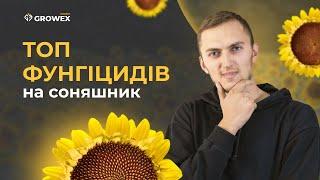 ЯКИМИ ФУНГІЦИДАМИ ЗАХИСТИТИ СОНЯШНИК?