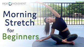 Morning Stretch Routine for Beginners