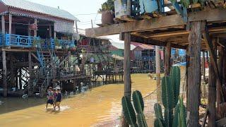 Boat Trip to Kampong Khleang Floating Village and Tonle Sap Lake  Siem Reap, Cambodia 2023