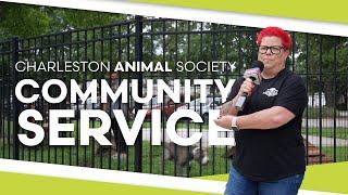 Charleston Animal Society Community Service