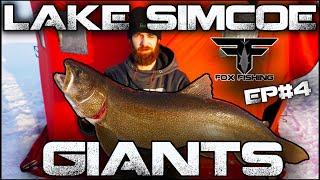 ** LAKE SIMCOE GIANTS **. Tons of whitefish! February 23rd, 2020. Fox Fishing Episode 4. ULTRA HD 4K