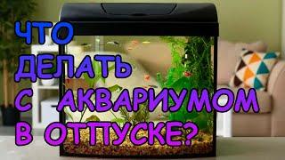 ЧТО ДЕЛАТЬ С АКВАРИУМОМ В ОТПУСКЕ ? #АКВАМЕН #АНТИЛОПУХ