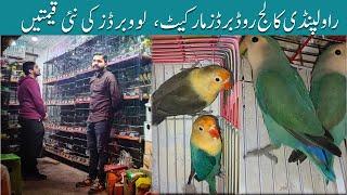 Love Birds Latest Price in 2023-2024 | Rawalpindi College Road Birds Market. #birds #birdshouse