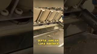 CARA PABRIK MEMBUDUDAYAKAN JAMUR ENOKI #jamur  #shorts  #shortvideo  #shortvideoviral  #viral