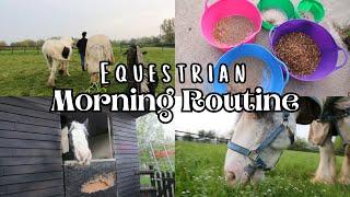 Morning Routine with 4 Horses (Spring 2023) / Equestrian VLOG