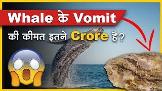 Why is Whale Vomit So Expensive? | FactStar