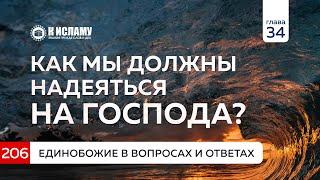 Глава 34. Вопрос 206. Как мы должны надеяться на Господа? Единобожие в вопросах и ответах