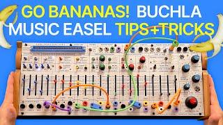 Going Bananas on the Buchla Easel Command 208C!