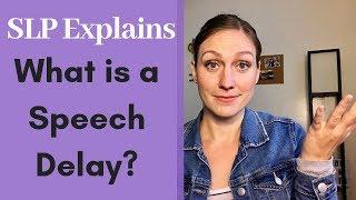 What is a Speech Delay?