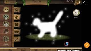 Cat Sim Online# Update IDEAS 1