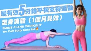 5MINS PLANK WORKOUT FOR FULL BODY BURN FAT