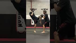 Kickboxing combo  #shorts #shortvideo #kickboxing #muaythai #karate #mmacombo #mma #selfdefence