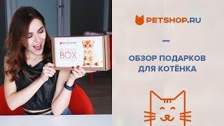 ОБЗОР PETSHOP BOX ДЛЯ КОТЯТ  ПОДАРКИ ДЛЯ КОТЕНКА