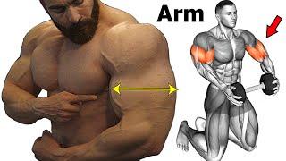 14 Best Workout To Get Big And Perfect Arms