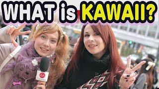 WHAT is KAWAII? We asked foreigners in Japan about their definition