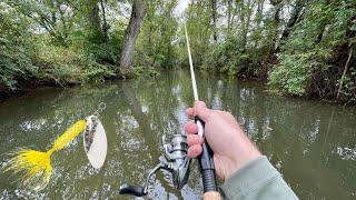 TROUT Fishing with Rooster Tail Spinners (Rainbow & Brown)