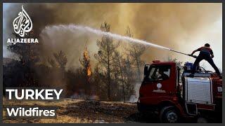 Antalya, Mugla wildfires continue as Turkey puts out dozens