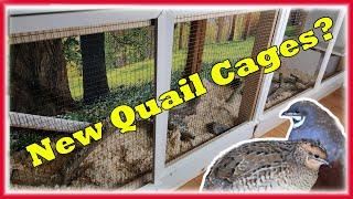 How to build a Natural Quail Enclosure or Quail Coop.
