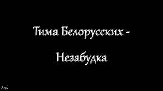 Тима Белорусских - Незабудка (текст)