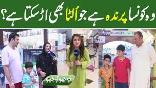 Bhoojo To Jeeto With Mehreen Fatima | Lahore News HD | 31 March 2022