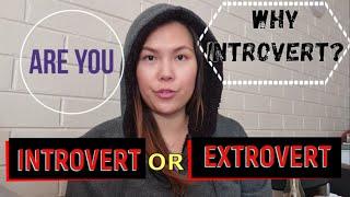 Why INTROVERT GAIL? | Am I Introvert or Extrovert? | What is introvert? | Are you an introvert too?