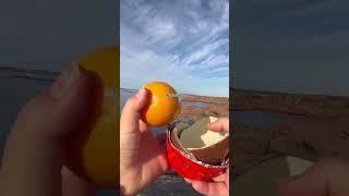 Kinder surprise chocolate eggs #kindereggsurprise #holidayswithyoutube