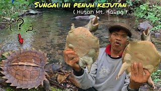 Berburu di Hutan dengan mbah Parjes Viral XXX ternyata suhu Perbulusan juga gais!!!