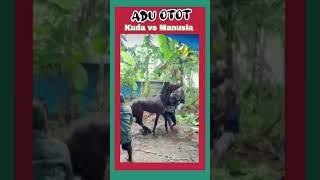 Manusia vs Kuda  #vidiolucuterbaru  #funnyvidionew #feedshorts  @musikuat7719