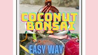 COCONUT BONSAI EASY WAY,( larry )#Coconut bonsai