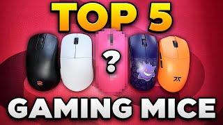 Top 5 Gaming Mice Late 2024 (Claw Grip Edition)