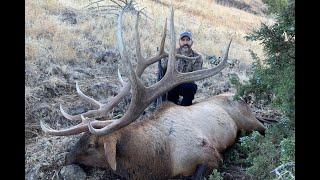 Public Land Giant Bull Elk- Idaho Highlights- Incredible Elk Footage [4K]