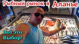 Рыбный рынок в Аланье. Отдых в Турции 2022. Цены на рыбу в Аланье.