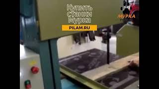 Мурка Вертикальный ленточнопильный станок AVG ЛС-50 Vertical band saw machine AVG LS-50 pilam.ru