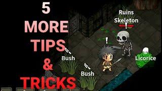 5 MORE TIPS AND TRICKS | The Wild Darkness