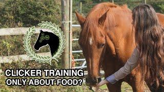 Clicker Training: Your horse is only doing it for food! | Myth busted