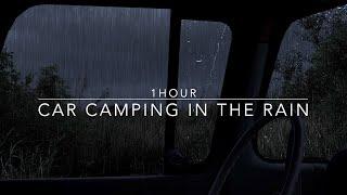 Car Camping In The Rain - Rain on car - Heavy rain sounds for sleep - 1 hour rain sound