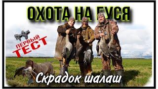 Охота на гуся. ПроГусь в полях. Осень/ Goose hunting in Russia.