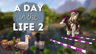 Horse training and new things on the ranch! Minecraft SWEM - RRP