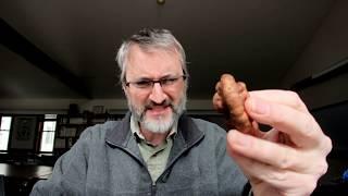 Ask the Naturalist: Goldenrod Gall Fly - what is it? Hosted by Scott