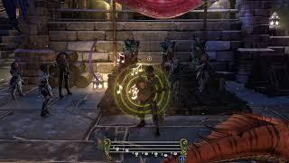 Neverwinter Bard: Toss a Coin To Your Witcher