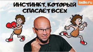 Какой инстинкт спасает нам жизнь? Что помогает выжить в опасности? Биология. Реакция Бей или беги