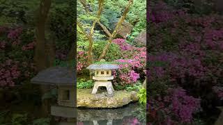 A pond in Japanese Garden in Portland, Oregon, USA.