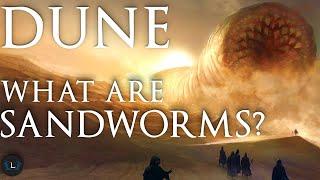 Sandworms - The Gods of Dune Explained | Dune Lore