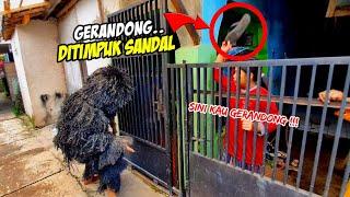 PRANK GERANDONG NGAMUK KELILING RUMAH WARGA  KUDA LUMPING BARUDAK CAHYA MADEP  LEMBUR KURING