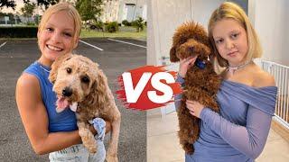 Amelka Karamelka vs Payton Myler (Ninja Kids TV) Lifestyle Comparison  2025