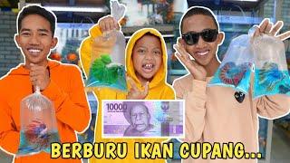 TANTANGAN BELI IKAN CUPANG DENGAN UANG 10 RIBU, SIAPA YANG MENANG? | Mikael TubeHD