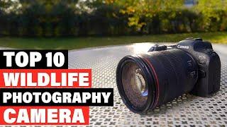 Best Camera For Wildlife Photography 2024 [Top 10 Picks Reviewed]